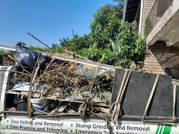 Best Residential Junk Removal  in Montrose, MI