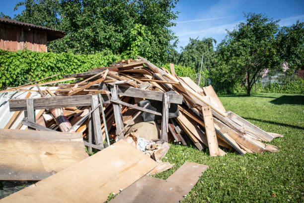 Best Basement Cleanout  in Montrose, MI
