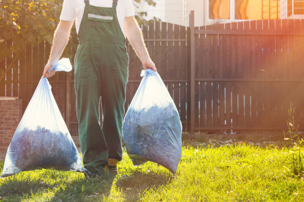 Best Same-Day Junk Removal Services  in Montrose, MI